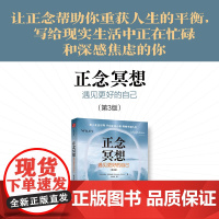 正念冥想 遇见更好的自己 第3版 沙玛什·阿里迪纳 减压生活释放压力调控情绪做自己的心理医生 让正念帮助你重获人生的平衡