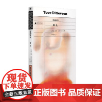 面孔 托芙·迪特莱弗森 著 长篇 情感 自我救赎 心灵 徐芳园 译