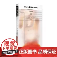 面孔 托芙·迪特莱弗森 著 长篇 情感 自我救赎 心灵 徐芳园 译