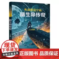 火苗照亮宇宙:暗生命传奇 王威廉著 少儿科幻的中篇小说 月球探索 黑洞文明 花城出版社正版书籍
