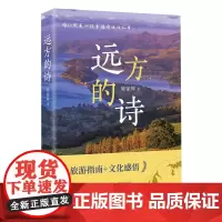远方的诗 陈家辉著 散文集 人生感悟 旅行 花城出版社正版书籍