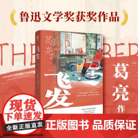 飞发 葛亮中短篇小说代表作 第八届鲁迅文学奖获奖作品 花城出版社正版书籍