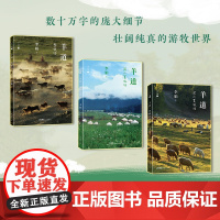 大字版羊道三部曲 春牧场/前山夏牧场/深山夏牧场 我的阿勒泰遥远的向日葵地冬牧场作者李娟非虚构经典游牧生活花城出版社