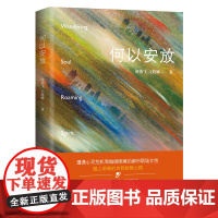 何以安放 姚燕飞,王晓娜著 都市女性 自我救赎 情感小说 花城出版社正版书籍