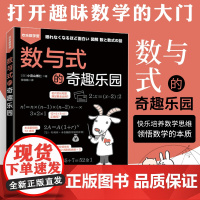 数与式的奇趣乐园 初中小学高年级五六年级趣味数学书思维逻辑训练 学习数学重难点本质 爱上科学公式之美数学书籍
