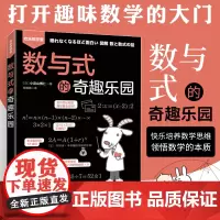 数与式的奇趣乐园 初中小学高年级五六年级趣味数学书思维逻辑训练 学习数学重难点本质 爱上科学公式之美数学书籍