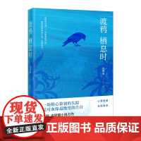 渡鸦栖息时 朱朝敏著 心理治愈的中短篇小说集 心理悬疑与社会痛点的碰撞 花城出版社正版书籍