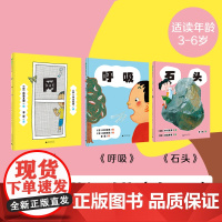 3-6岁生活中的轻科普(全3册)石头+呼吸+网 魔法象 广西师范大学出版社