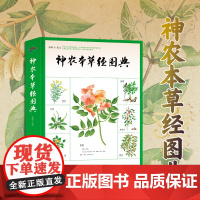 神农本草经图典 新书