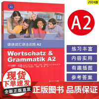 德语词汇语法训练A2 安娜丽.比利娜编著 欧标德语A2考试备考 德语语法解析与练习德语欧标考试书籍德语自学入门教材同济大