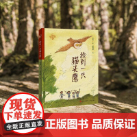 捡到一只猫头鹰精装 中国童年故事绘 儿童游戏故事书 童年 儿童成长课外阅读故事书