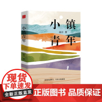 小镇青年 记录从乡村走出去的青年人回到乡村创业的故事