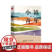 小镇青年 记录从乡村走出去的青年人回到乡村创业的故事