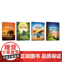 少年探险家(4册套装)拯救大猩猩+鲸的秘密+愤怒的大象+狼群危机