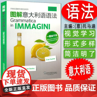 图解意大利语语法 托马迪编著外教社图解外语语法 意大利语语法自学学习书籍意大利语语法天天学上海外语教育出版社 97875
