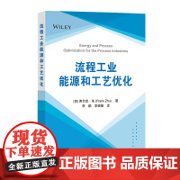 流程工业能源和工艺优化