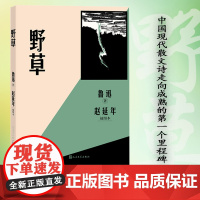 野草:赵延年插图本