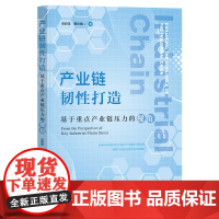 产业链韧性打造:基于重点产业链压力的视角