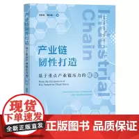 产业链韧性打造:基于重点产业链压力的视角