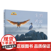 风之翼:导演的鸟类日记