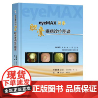 正版 eyeMAX洞察胆囊疾病诊疗图谱 王宏光陶丽莹主编 东南大学出版社