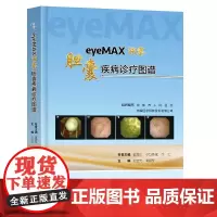 正版 eyeMAX洞察胆囊疾病诊疗图谱 王宏光陶丽莹主编 东南大学出版社