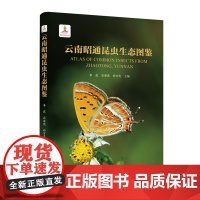 正版 云南昭通昆虫生态图鉴 李虎 石安宪 彩万志主编 9787565533389中国农业大学出版社店