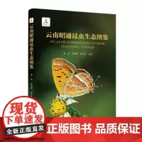 正版 云南昭通昆虫生态图鉴 李虎 石安宪 彩万志主编 9787565533389中国农业大学出版社店