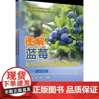 正版 图解蓝莓栽培及周年管理关键技术 董畅 覃杨主编 中国农业大学出版社店9787565531729