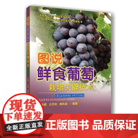 正版 图说鲜食葡萄栽培关键技术 卜庆雁 王志利 翟秋喜主编 中国农业大学出版社店9787565527654
