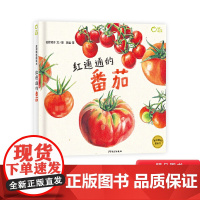 红通通的番茄绘本图画书我爱蔬菜3岁4岁5岁6岁亲子共读孩子的高颜值蔬菜科普书麦田精选图画书少年儿童出版社正版童书红彤彤的