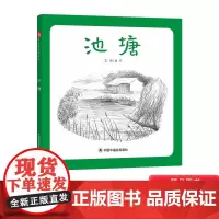 池塘精装绘本中国原创图画书图画书适合3-4-5-6岁幼儿启蒙早教中国中福会出版社描摹夏日池塘百态尽显静谧灵动的自然之美正