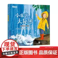 小水滴大秘密精装绘本图画书一本贴近生活知识含量丰富的科普绘本了解水循环适合3岁以上新东方正版童书