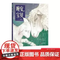 晚安宝贝精装绘本图画书经典晚安绘本温暖宁静的夜晚哄睡每个淘气小夜猫青豆童书馆正版童书