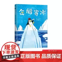 企鹅寄冰精装绘本一曲另类冰与火之歌随书附赠阅读推广人姜晓燕精心撰写的教学导读适合3岁4岁5岁6岁浙江少年儿童出版社正版童