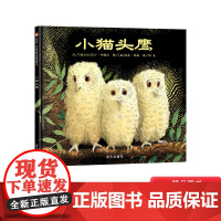 小猫头鹰硬壳精装绘本信谊精选图画书适合3岁以上儿童课外阅读书籍正版童书