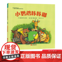 小鹦鹉咔咔嘟硬壳精装图画书启发绘本3岁4岁5岁6岁幼儿园儿童阅读亲子共读亲子共读哲理性亲子共读绘本正版童书