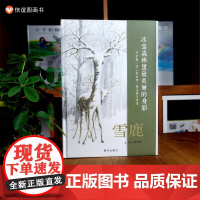 雪鹿硬壳精装适合3-6岁绘本幼儿园小学阅读本亲子阅读早教启蒙图画书自然保护晚安故事书经典书籍人与自然相处信谊正版