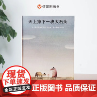 天上掉下一块大石头精装硬壳幼儿园绘本阅读儿童少儿图画书儿童故事培养0-6到8岁幼儿亲子睡前故事书小学课外宝宝早教书信谊正