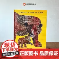熊宝宝熊宝宝你在看什么硬壳精装图画书儿童绘本适合3-8周岁图书艾瑞·卡尔绘本亲子阅读信谊正版