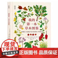 我的第一本草木图鉴手绘全彩精美插图植物科普书 科普中 草木植物学自然认知适合3-8岁幼儿课外阅读系列读物图画书中福会绘本