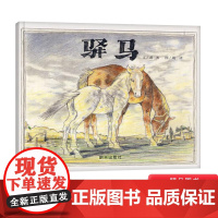 驿马硬壳精装绘本信谊图画书驿马和了解楼兰古城历史4岁5岁6岁7岁8岁亲子共读正版书籍