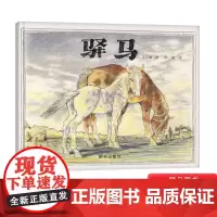 驿马硬壳精装绘本信谊图画书驿马和了解楼兰古城历史4岁5岁6岁7岁8岁亲子共读正版书籍