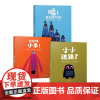 套装全3册小小迷路了别这样小乖嘘我们有个计划绘本适合2-3-4岁以上幼儿启蒙早教图画书克里斯霍顿著启发硬壳精装绘本正版童
