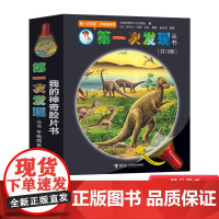 全10册平装第一次发现手电筒系列适合3岁以上挑战儿童惯性认知激发自主探索世界好奇心接力正版童书