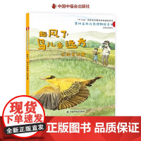 起风了鸟儿去远方迁徙鸟观察精装绘本中国原创图画书亲子之旅观察鸟类品味自然野趣带回家的自然博物馆系列单本3-6-8岁阅读正