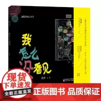 我怎么没看见精装硬壳适合0-6岁幼儿启蒙哲思系列绘本 童嘉著绘少儿图画书辽宁少年儿童出版社绘本 正版