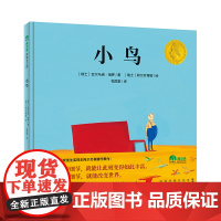 小鸟精装绘本图画书3-6岁亲子共读一个小小的细节就能让此刻变得如此丰富魔法象正版童书