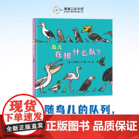 鸟儿在排什么队?精装硬壳适合3岁以上幼儿大村知子队列系列鸟类习性培养自然兴趣 提升科学认知科普趣味蒲蒲兰绘本正版
