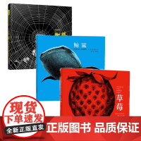 全3册精装草莓鲸鲨蜘蛛绘本图画书诗意的文字和气势非凡的图画草莓跟庞大如鲸的鲨游宁静神秘的海适合3岁4岁5岁6岁7岁启发正